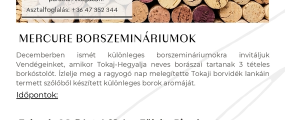 Mercure Borszeminárium Mercure Borszeminárium