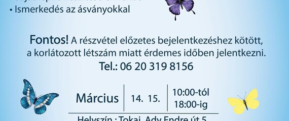 Kézműves nap a Lepke- és Ásványkiállításban! Kézműves nap a Lepke- és Ásványkiállításban!