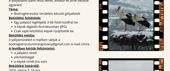 „Bodrogkeresztúri gólyafotók” fotópályázat indul! „Bodrogkeresztúri gólyafotók” fotópályázat indul!